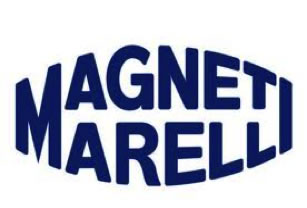 magneti